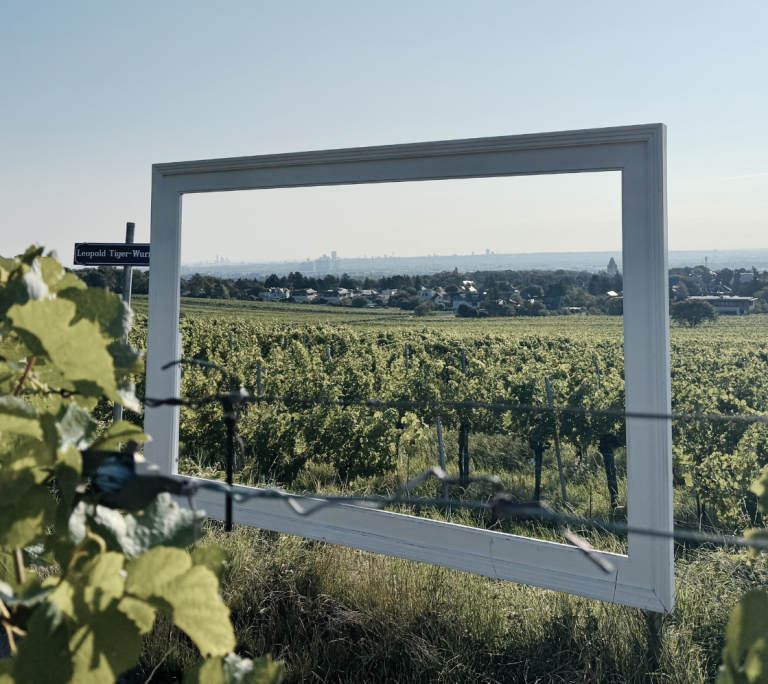 Perchtoldsdorf Weinberge